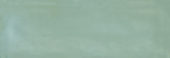 Aruba Moss Gloss 2x6 | Marino Tile NY