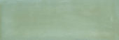 Aruba Moss Gloss 2x6 | Marino Tile NY