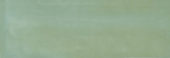 Aruba Moss Gloss 2x6 | Marino Tile NY