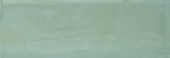 Aruba Moss Gloss 2x6 | Marino Tile NY