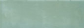 Aruba Moss Gloss 2x6 | Marino Tile NY