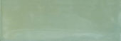 Aruba Moss Gloss 2x6 | Marino Tile NY