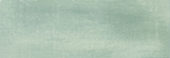 Aruba Moss Matt 2x6 | Marino Tile NY