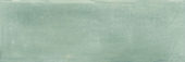 Aruba Moss Matt 2x6 | Marino Tile NY