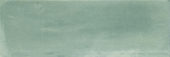 Aruba Moss Matt 2x6 | Marino Tile NY