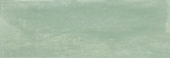 Aruba Moss Matt 2x6 | Marino Tile NY