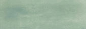 Aruba Moss Matt 2x6 | Marino Tile NY