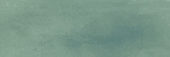 Aruba Moss Matt 2x6 | Marino Tile NY