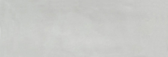 Aruba Silver Gloss 2x6 | Marino Tile NY