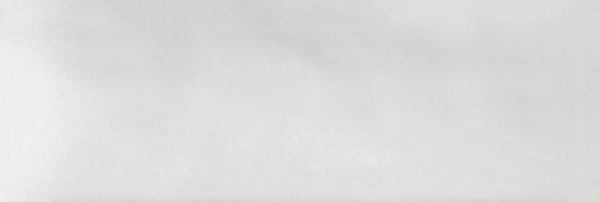 Aruba White Gloss 2x6 | Marino Tile NY