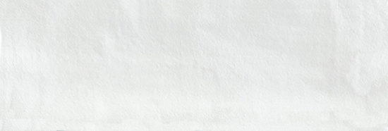 Aruba White Matt 2x6 | Marino Tile NY