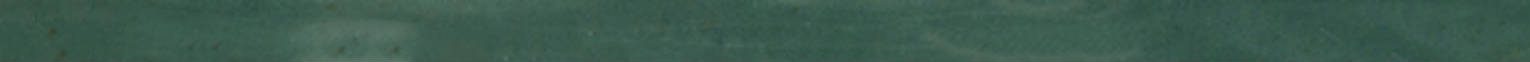 Barcelona 0.39X9” Green Trim