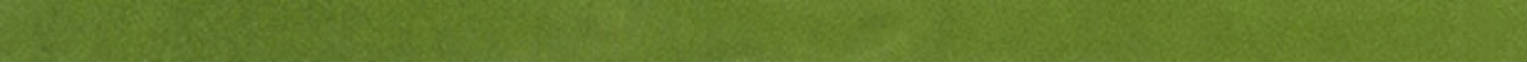 Barcelona 0.39X9” Olive Trim