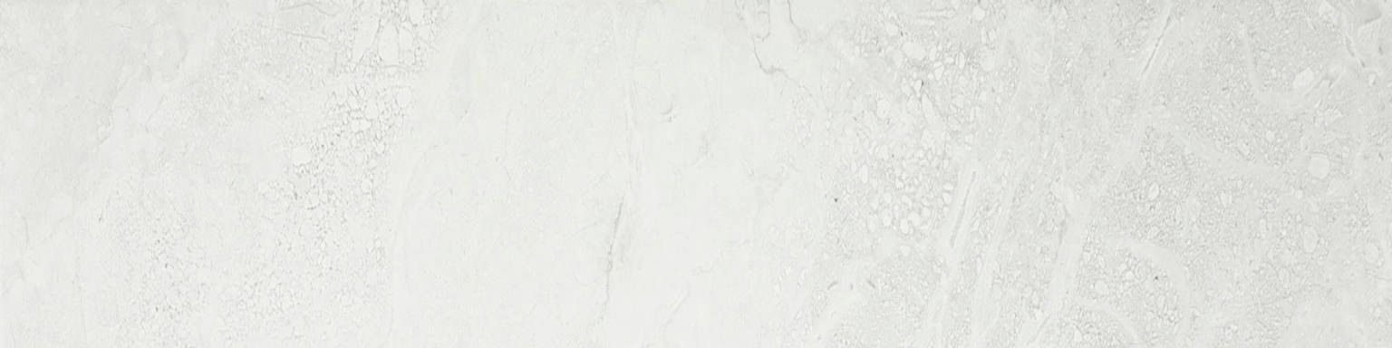 Bianco 3X12 Bullnose