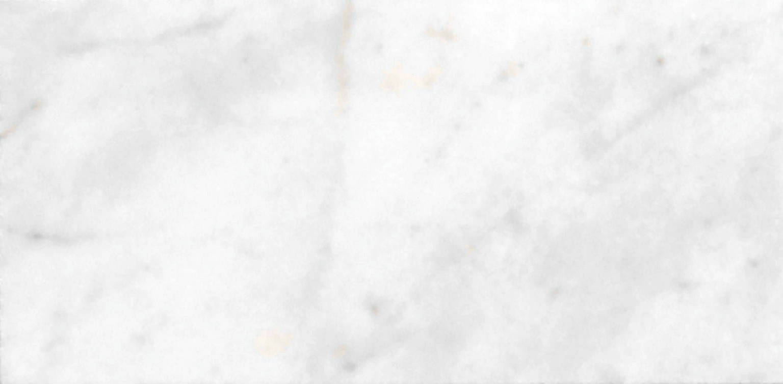 Bianco Venatino Honed 3X6