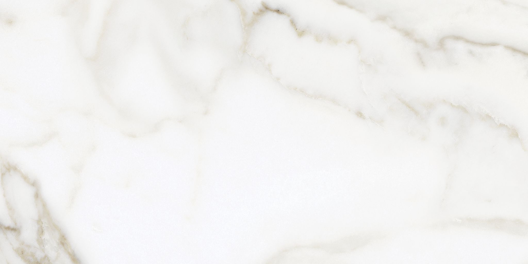 Florence 12X24F Calacatta Texture
