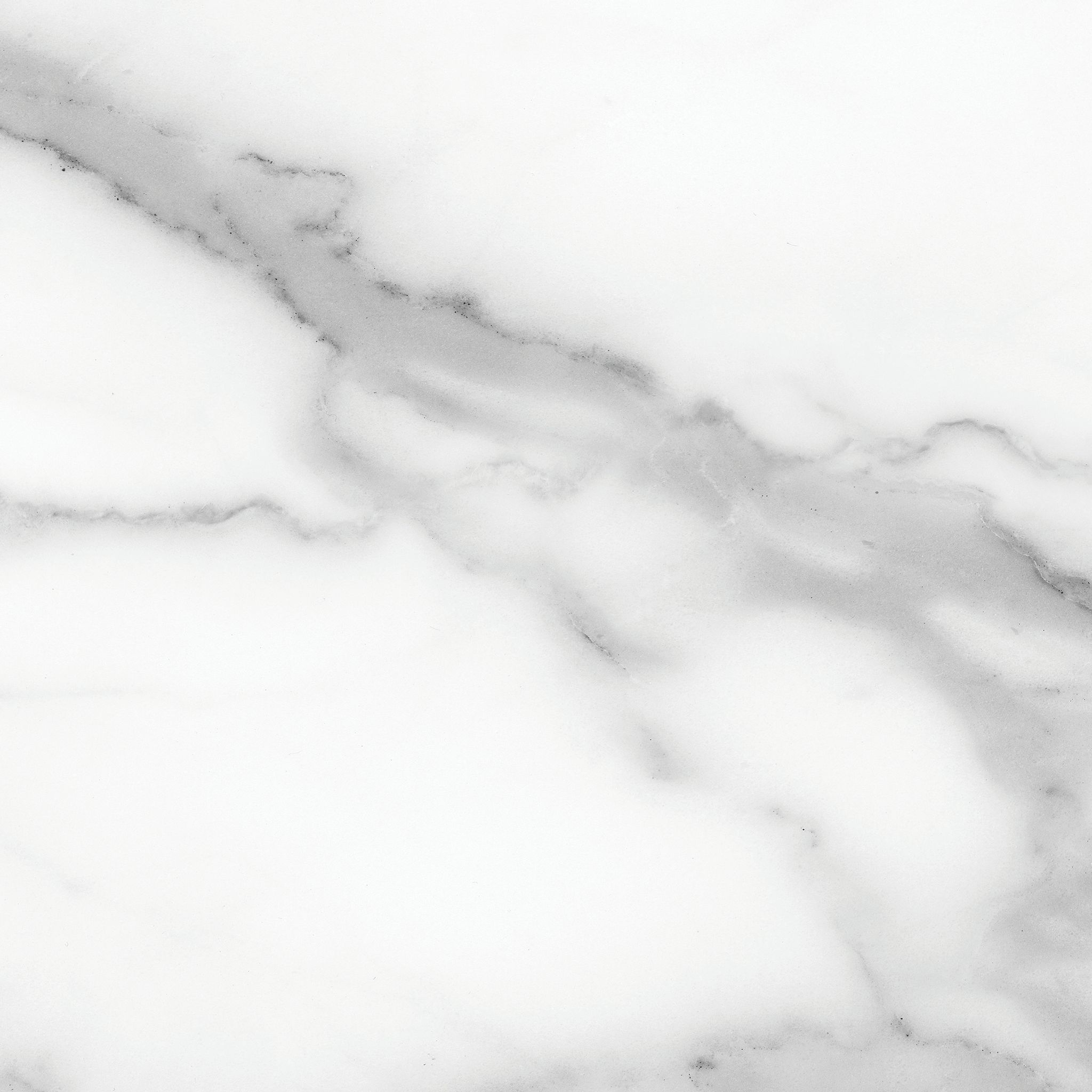 Florence 13X13F Statuario Matte