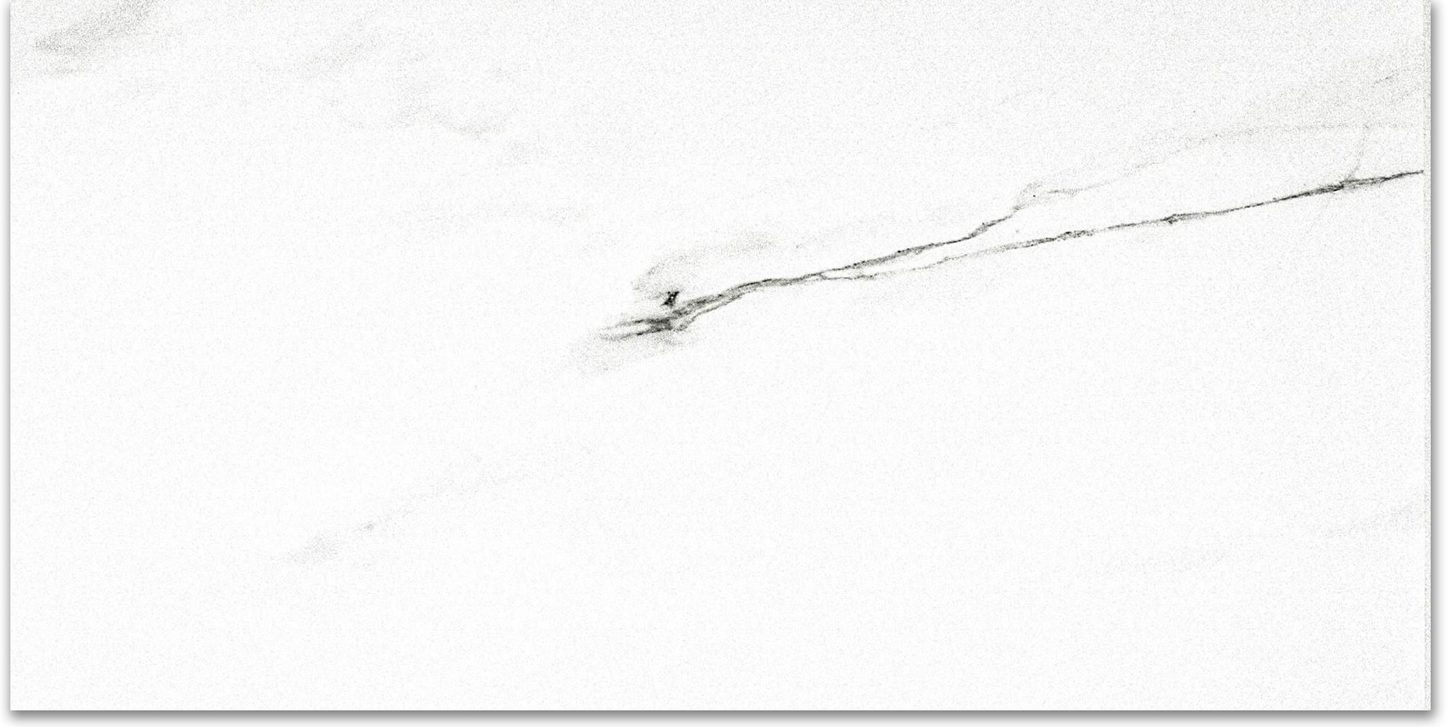 Matte Infatuation 16X32