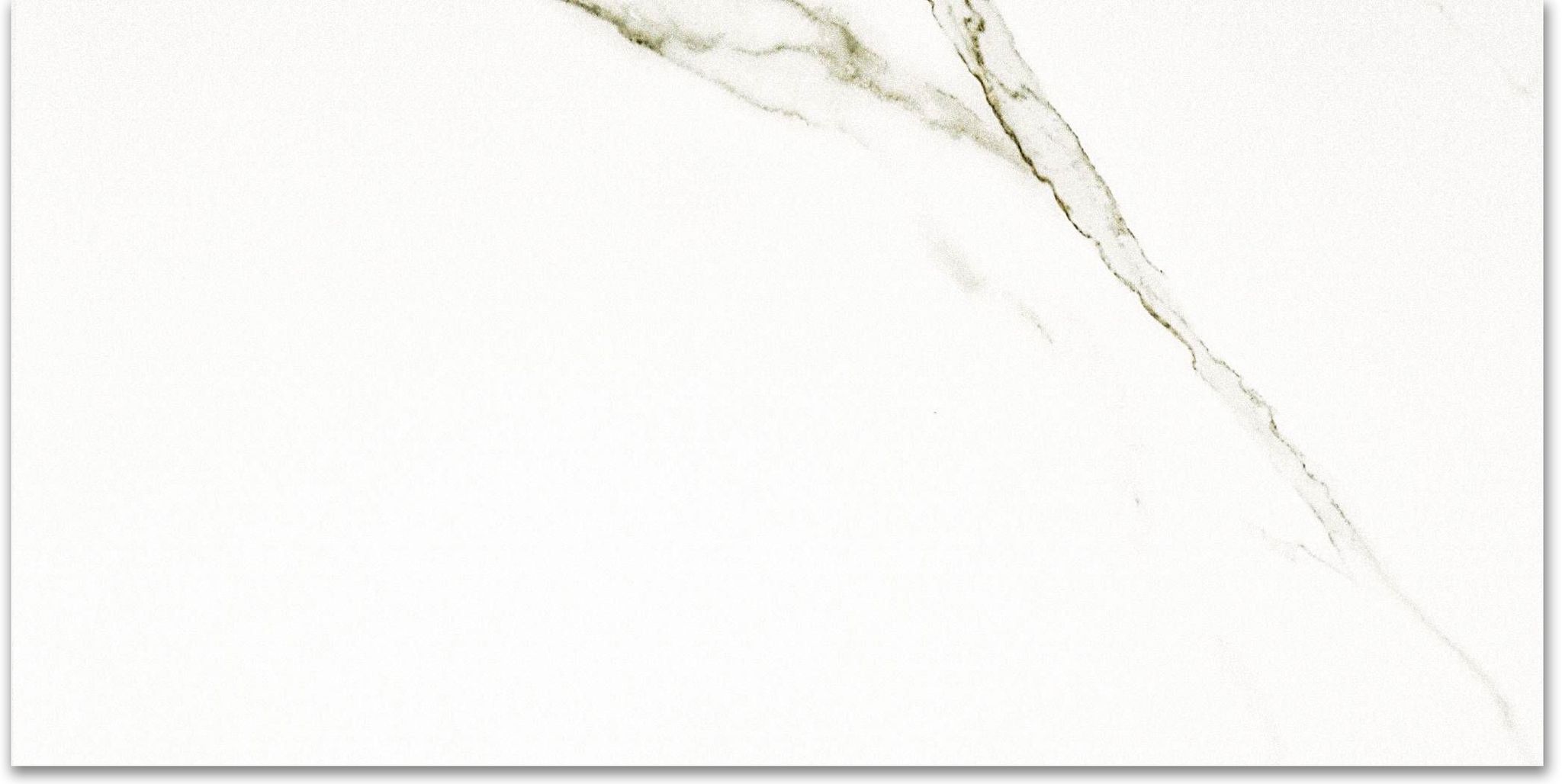 Polished Adoration 12X24