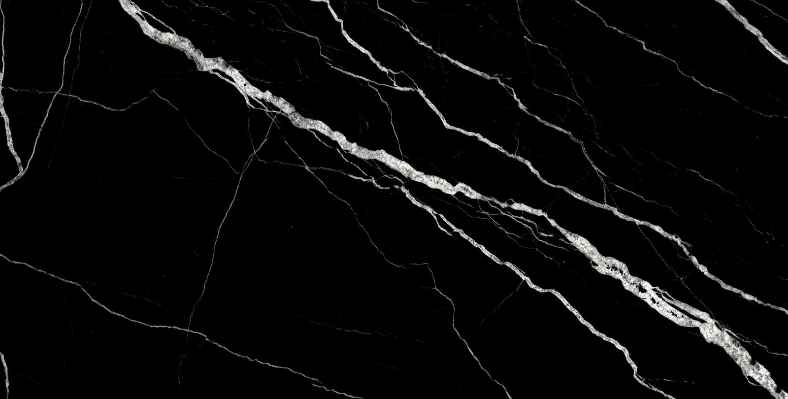 Treasure Midnight Nero 12x24 Polished