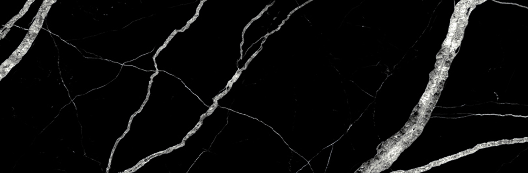 Treasure Midnight Nero 4x12 Polished