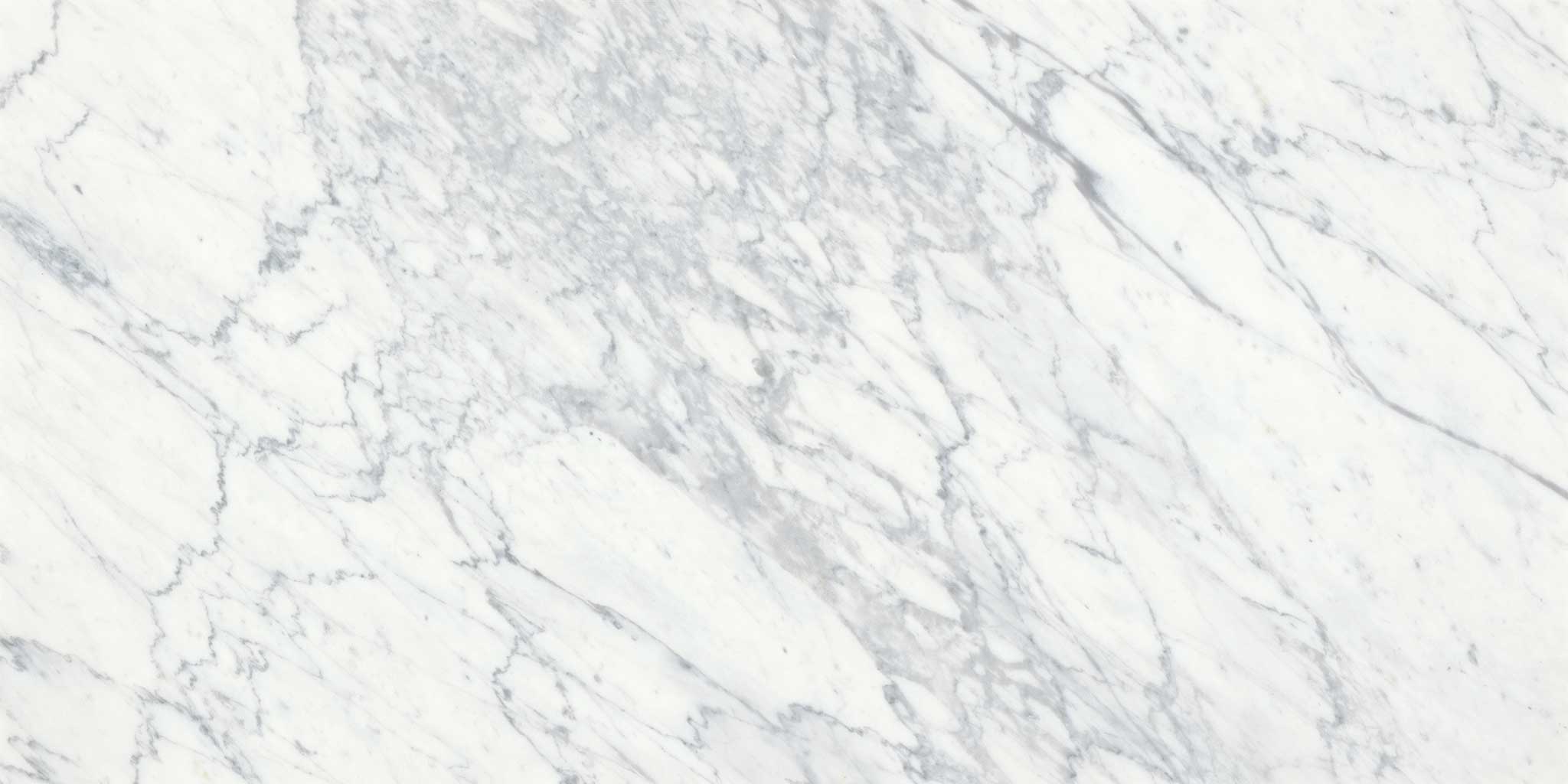 Virtue Bianco 18x36