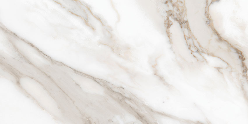 Royal Stoneworks 12X24 Calacatta Royale Honed | Marino Tile NY