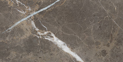 Royal Stoneworks 12X24 Regal Brown Marble Polished | Marino Tile NY