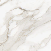 Royal Stoneworks 24X24 Calacatta Royale Honed | Marino Tile NY