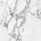 Royal Stoneworks 24X24 Italian Arabescato Polished | Marino Tile NY