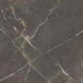 Royal Stoneworks 24X24 Regal Brown Marble Vintage | Marino Tile NY