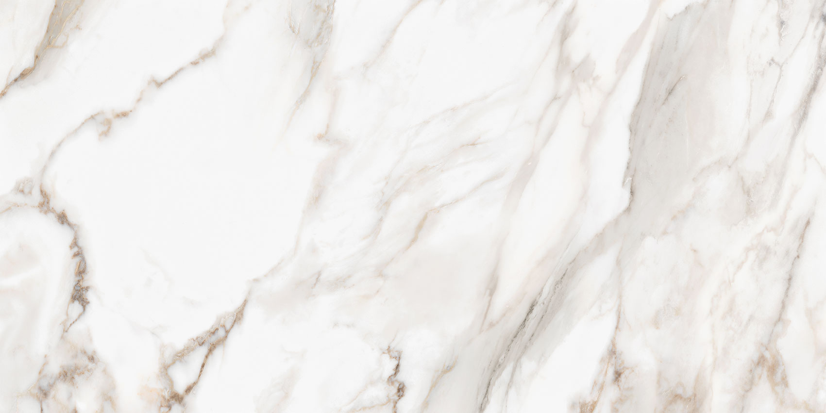 Royal Stoneworks 24X48 Calacatta Royale Polished | Marino Tile NY