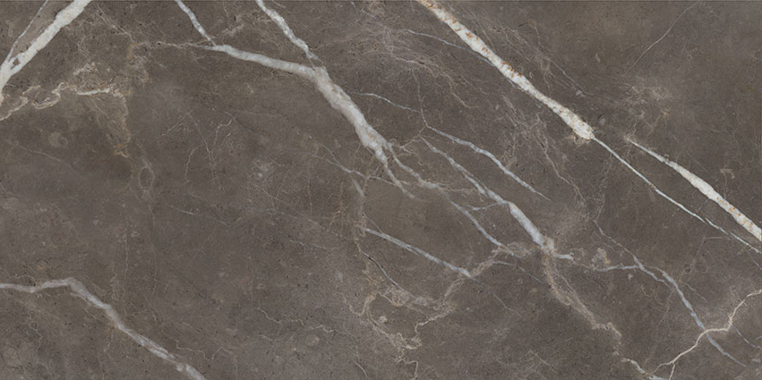 Royal Stoneworks 24X48 Regal Brown Marble Polished | Marino Tile NY