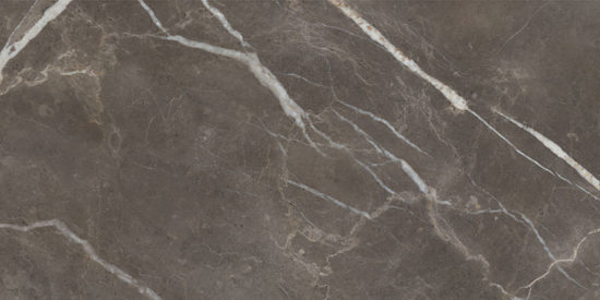 Royal Stoneworks 24X48 Regal Brown Marble Vintage Pv | Marino Tile NY