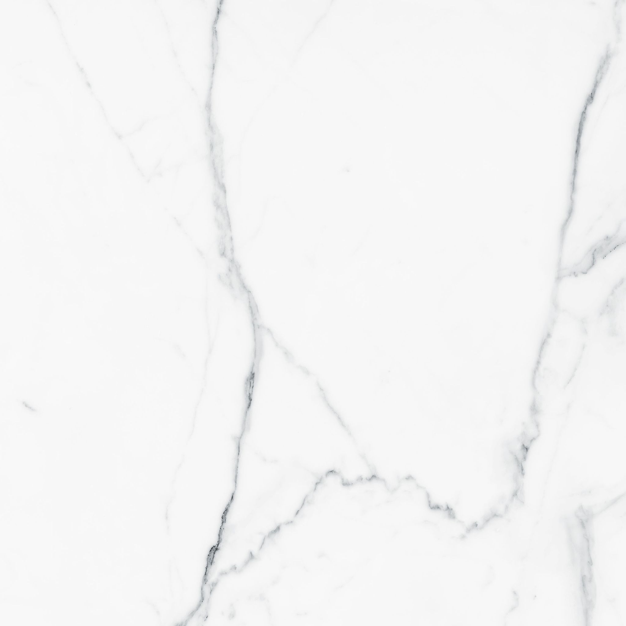 Royal Stoneworks 36X36 Grandvein White Polished | Marino Tile NY