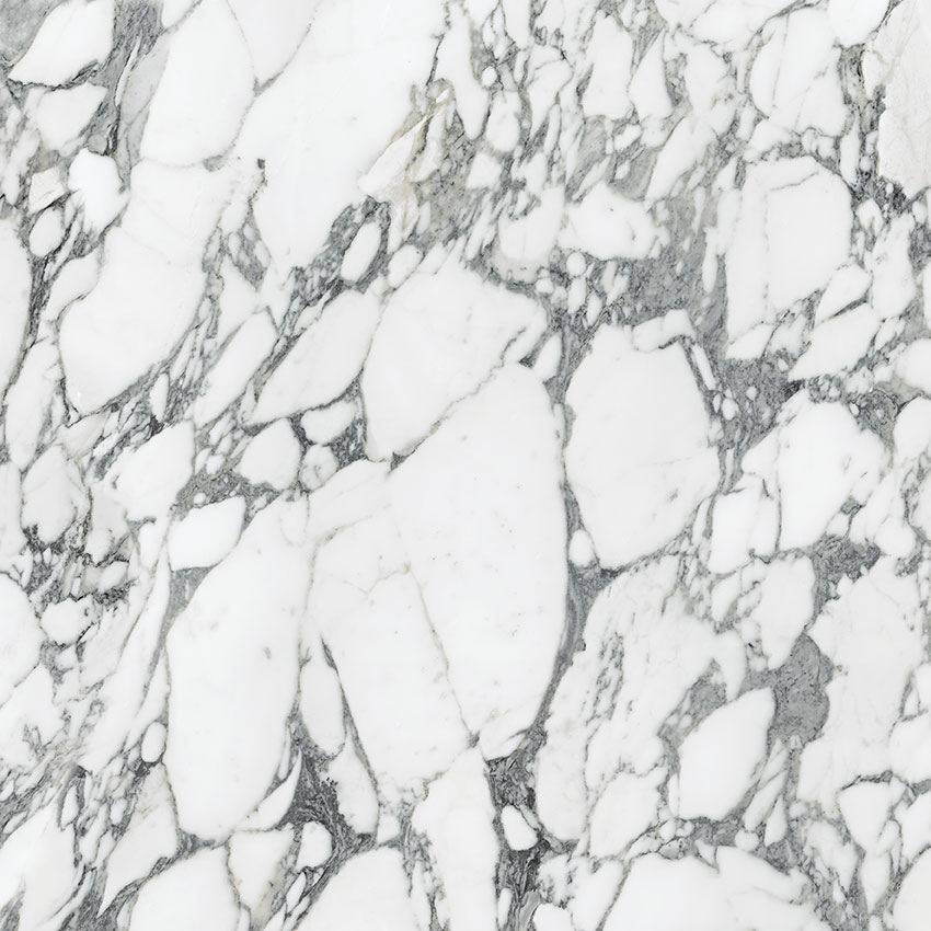 Royal Stoneworks 36X36 Italian Arabescato Polished | Marino Tile NY