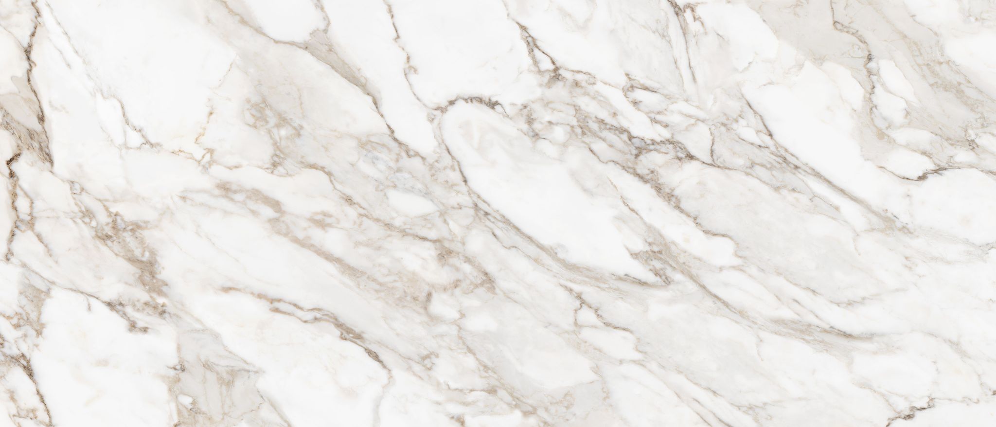 Royal Stoneworks 48X110 Calacatta Royale Honed | Marino Tile NY