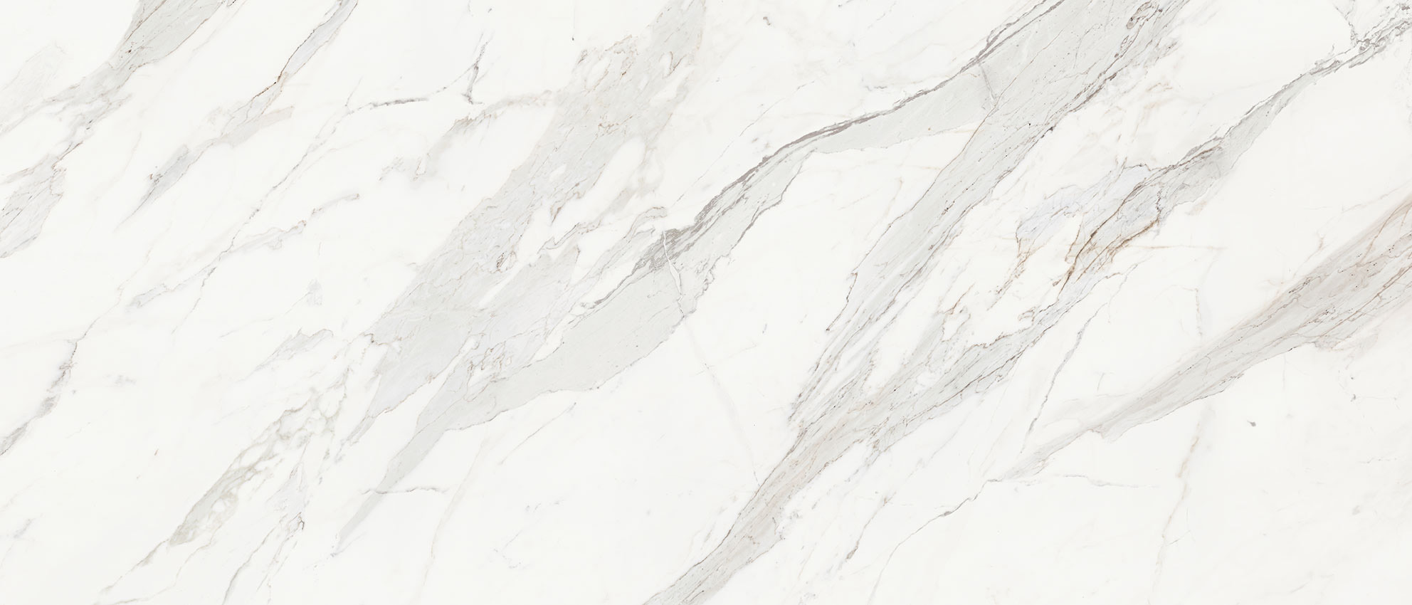 Royal Stoneworks 48X110 Crown Calacatta Honed | Marino Tile NY