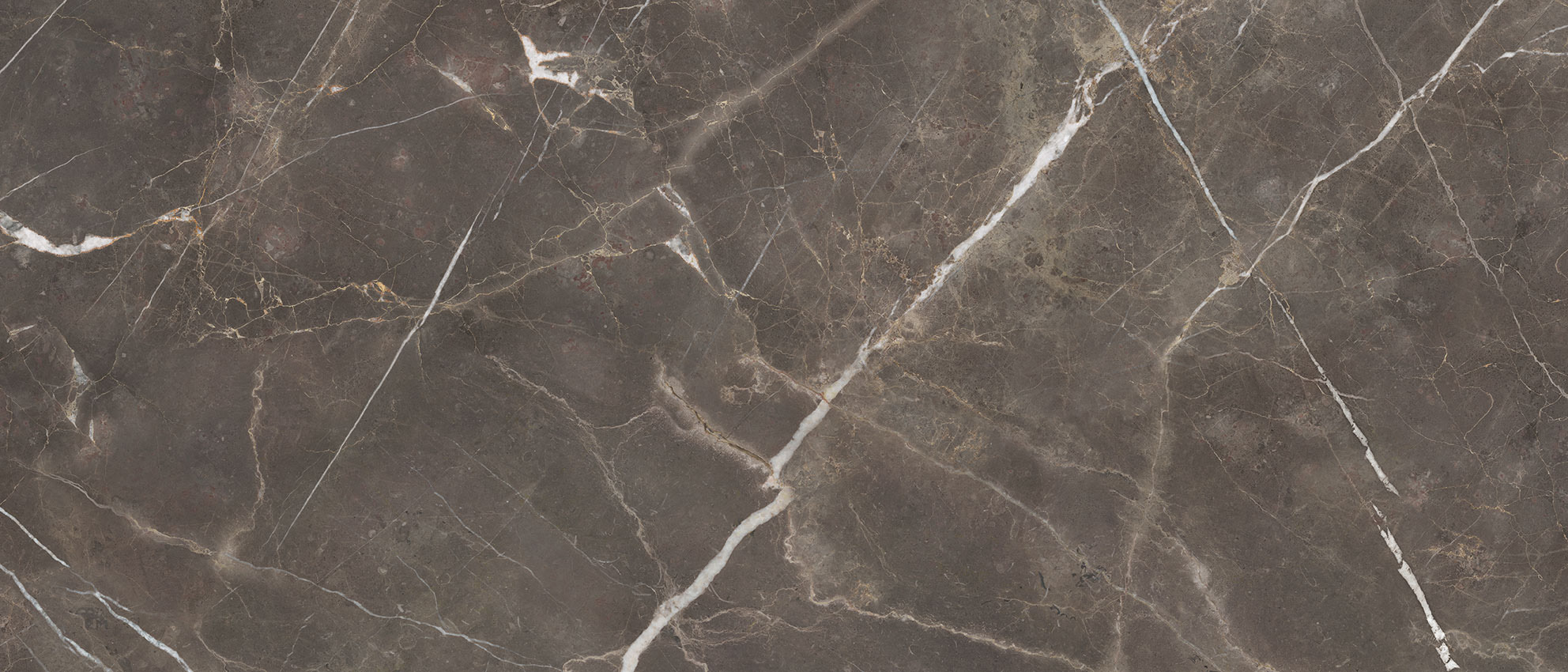 Royal Stoneworks 48X110 Regal Brown Marble Polished | Marino Tile NY