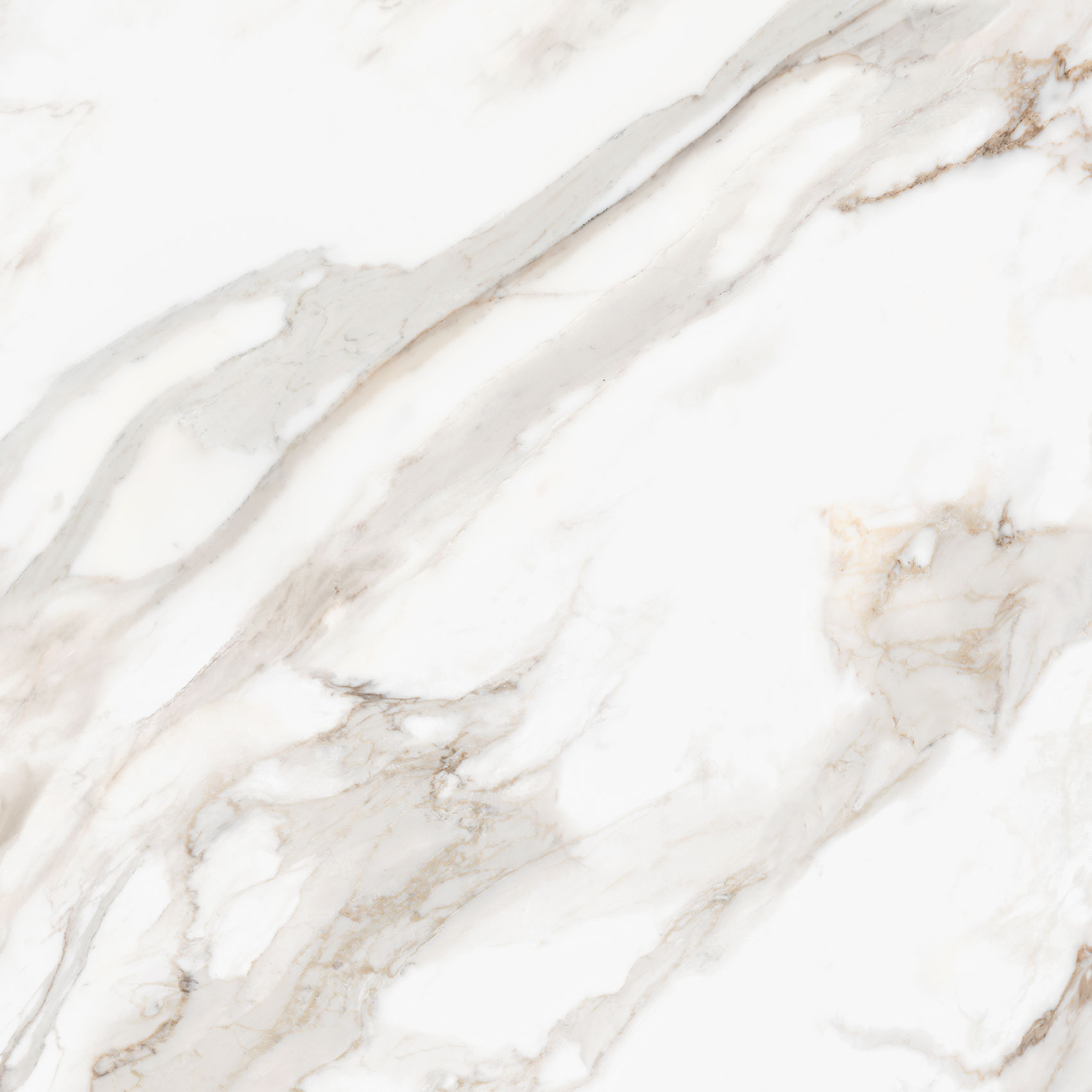 Royal Stoneworks 48X48 Calacatta Royale Honed | Marino Tile NY