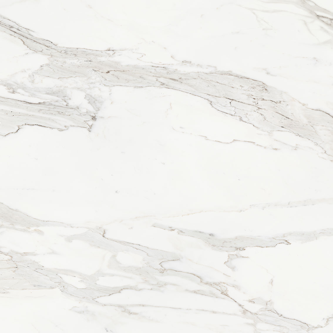 Royal Stoneworks 48X48 Crown Calacatta Honed | Marino Tile NY