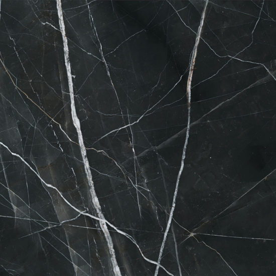 Royal Stoneworks 48X48 Regal Black Vein Honed | Marino Tile NY