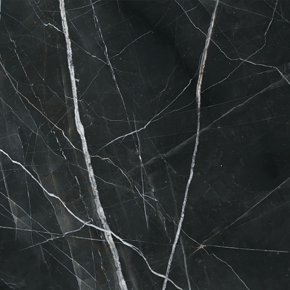 Royal Stoneworks 48X48 Regal Black Vein Polished | Marino Tile NY