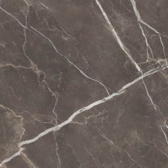 Royal Stoneworks 48X48 Regal Brown Marble Honed | Marino Tile NY