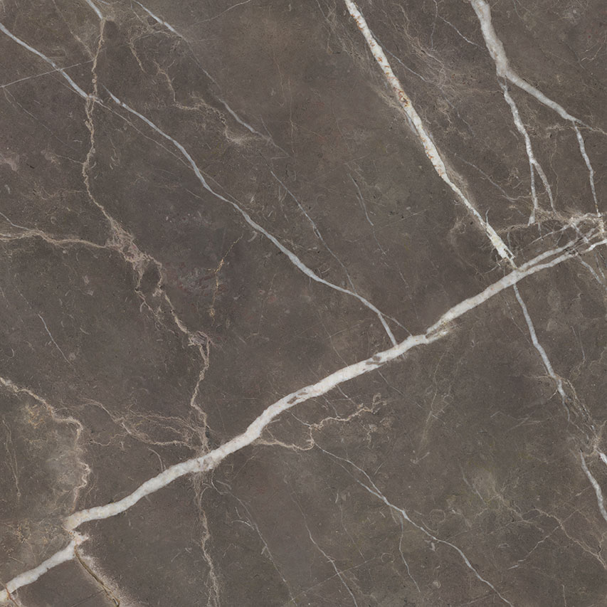 Royal Stoneworks 48X48 Regal Brown Marble Polished | Marino Tile NY