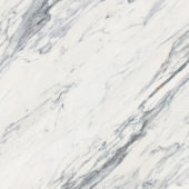 Royal Stoneworks 48X48 Regal White Vein Honed | Marino Tile NY