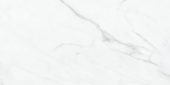 Altezza 12x24 Carrara | Marino Tile NY