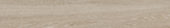 Aspen 8x48 Paper Birch | Marino Tile NY