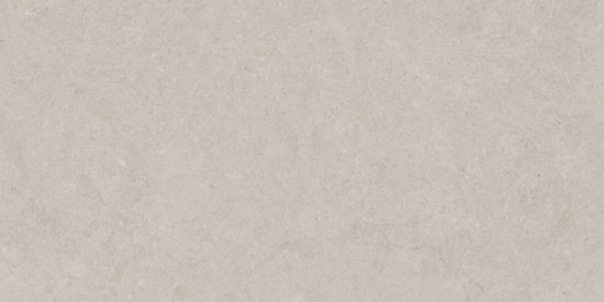 Lithoform 12X24 Crosscut Coast