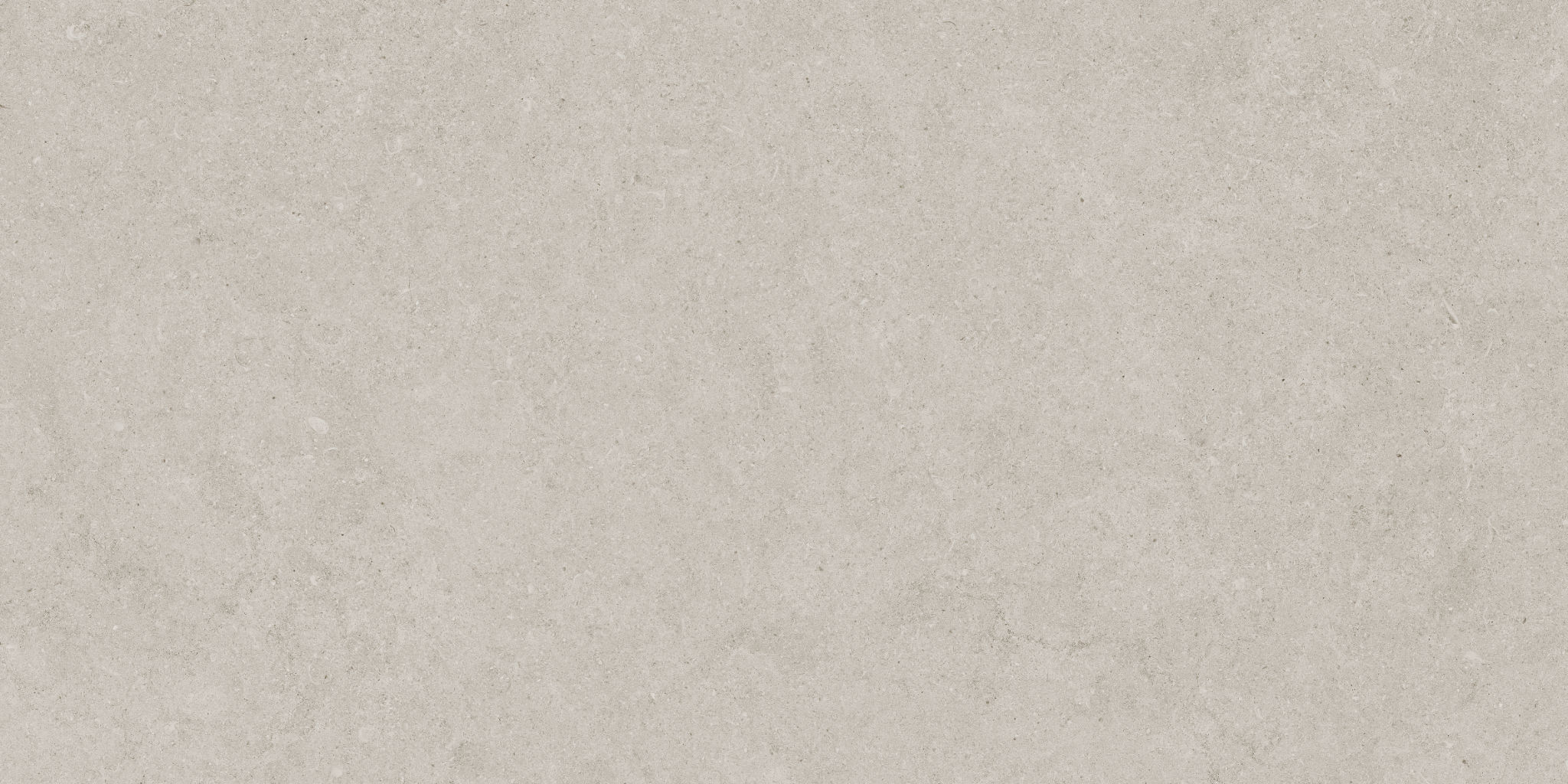 Lithoform 12X24 Crosscut Coast | Marino Tile NY